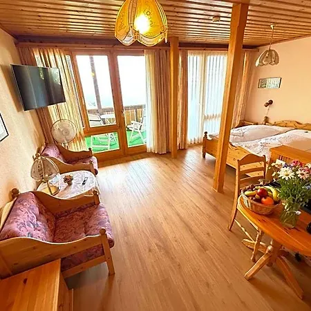 Parkhotel Beatenberg Hotel 3*