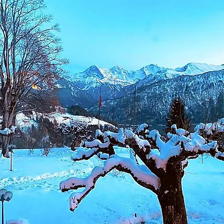 Parkhotel Beatenberg Hotel Interlaken