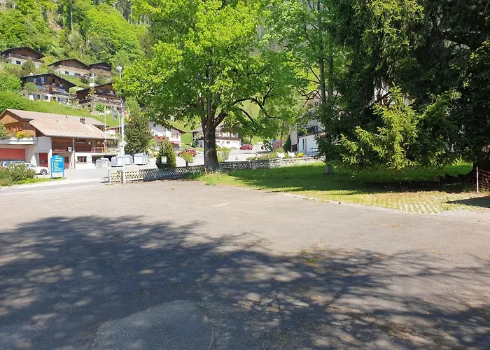 فندق Parkhotel Beatenberg 3*